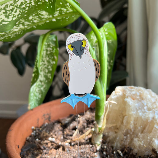 Blue footed booby plant stake