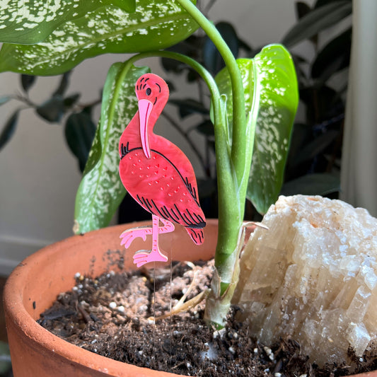 Scarlet ibis plant stake