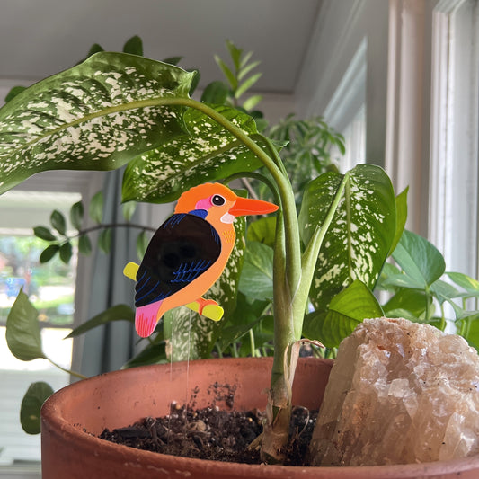 Dwarf kingfisher plant stake