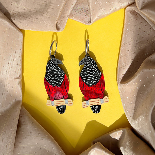 Dracula parrot earrings