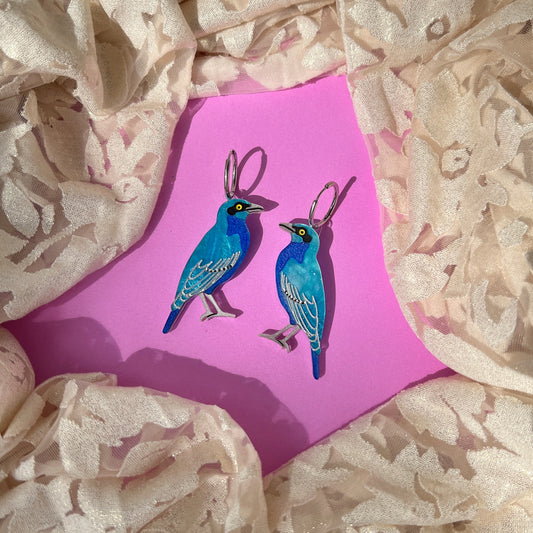 Greater blue eared starling earrings